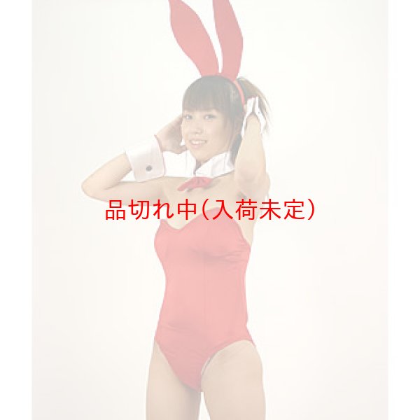 大人用 コスプレ バニーガール｜仮装コスチューム－女性用【子供用.com