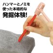 画像3: 実験工作キット　化石発掘　トリケラトプス　まとめ買い30セット (3)