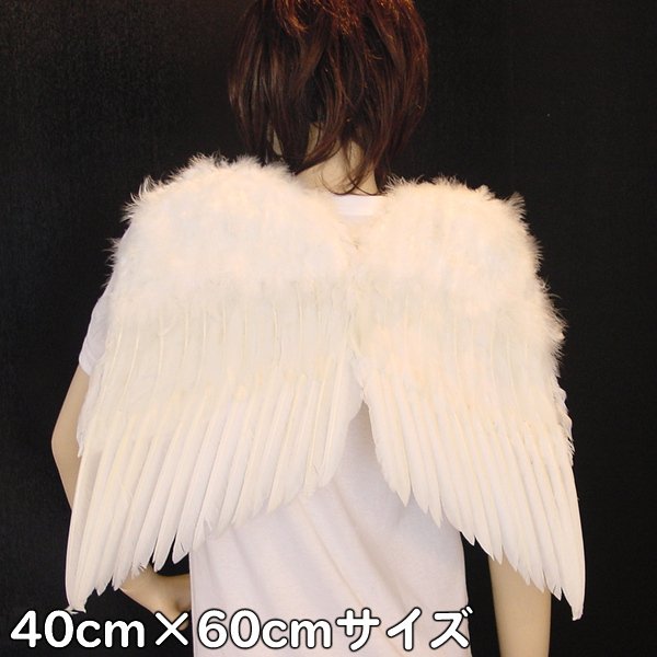 大人用 天使の羽根・悪魔の羽根 40cm×60cm｜変身グッズ・かぶりもの